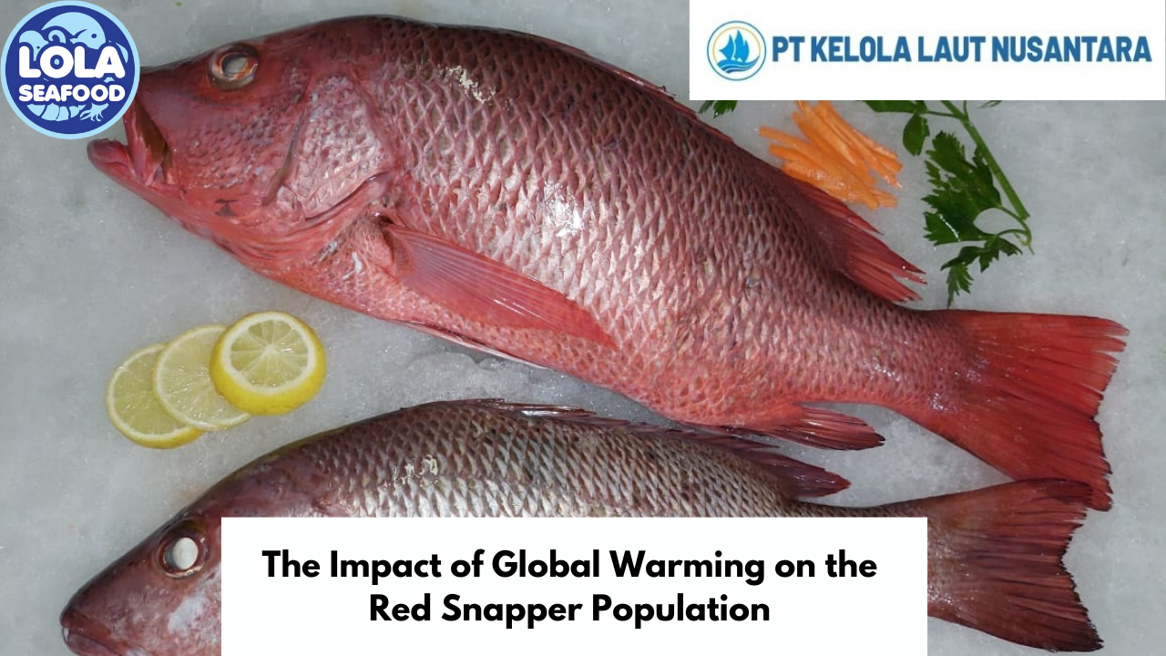 The Impact of Global Warming on the Red Snapper Population