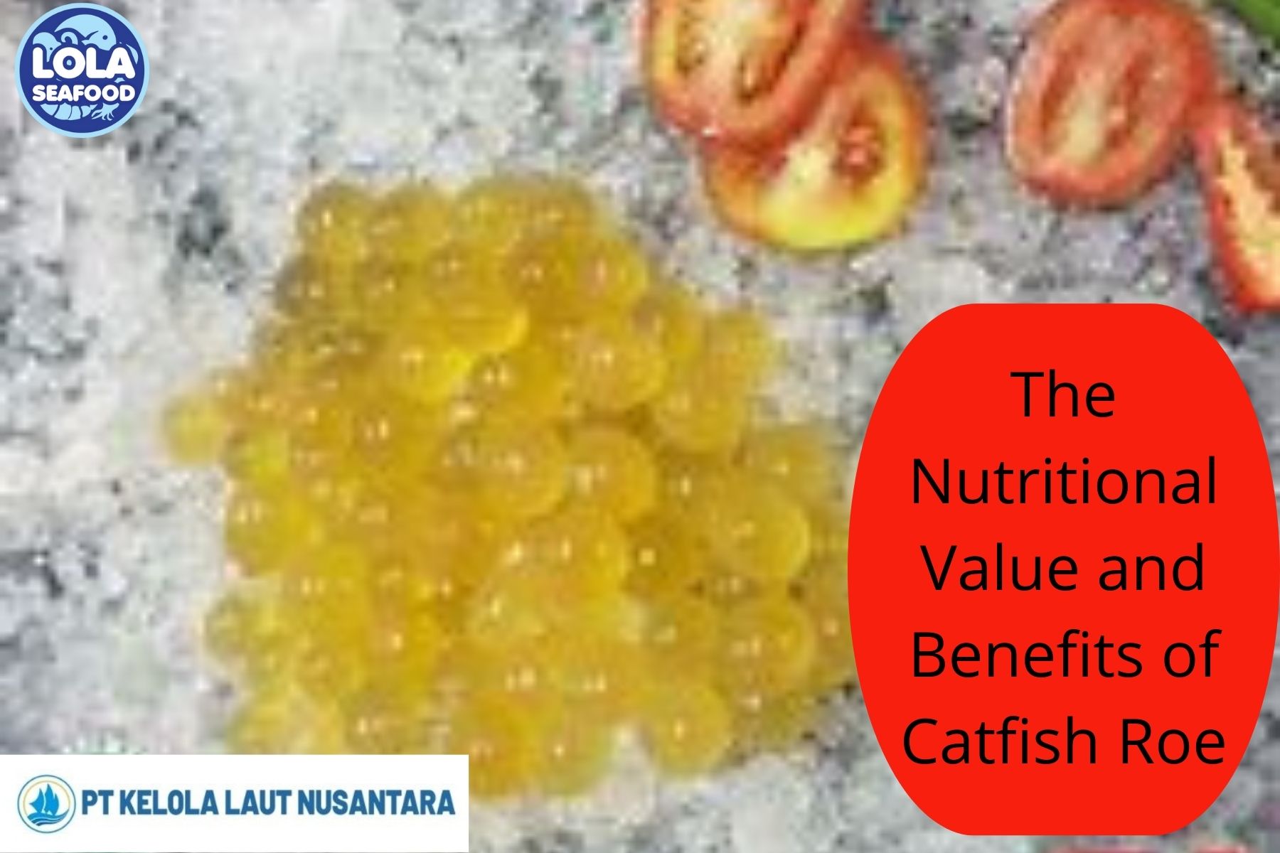 Cat Fish Roe 7 Thing The Nutritional Value and Benefits of Catfish Roe