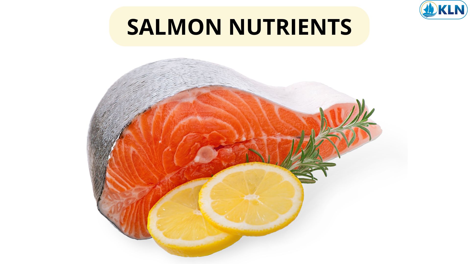 SALMON NUTRIENTS