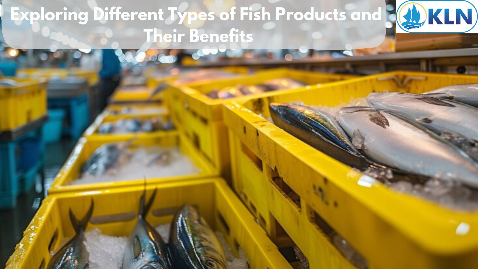 Exploring Different Types of Fish Products and Their Benefits