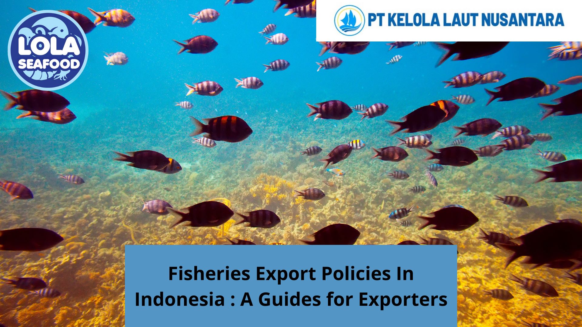 Fisheries Export Policies in Indonesia: A Guide for Exporters