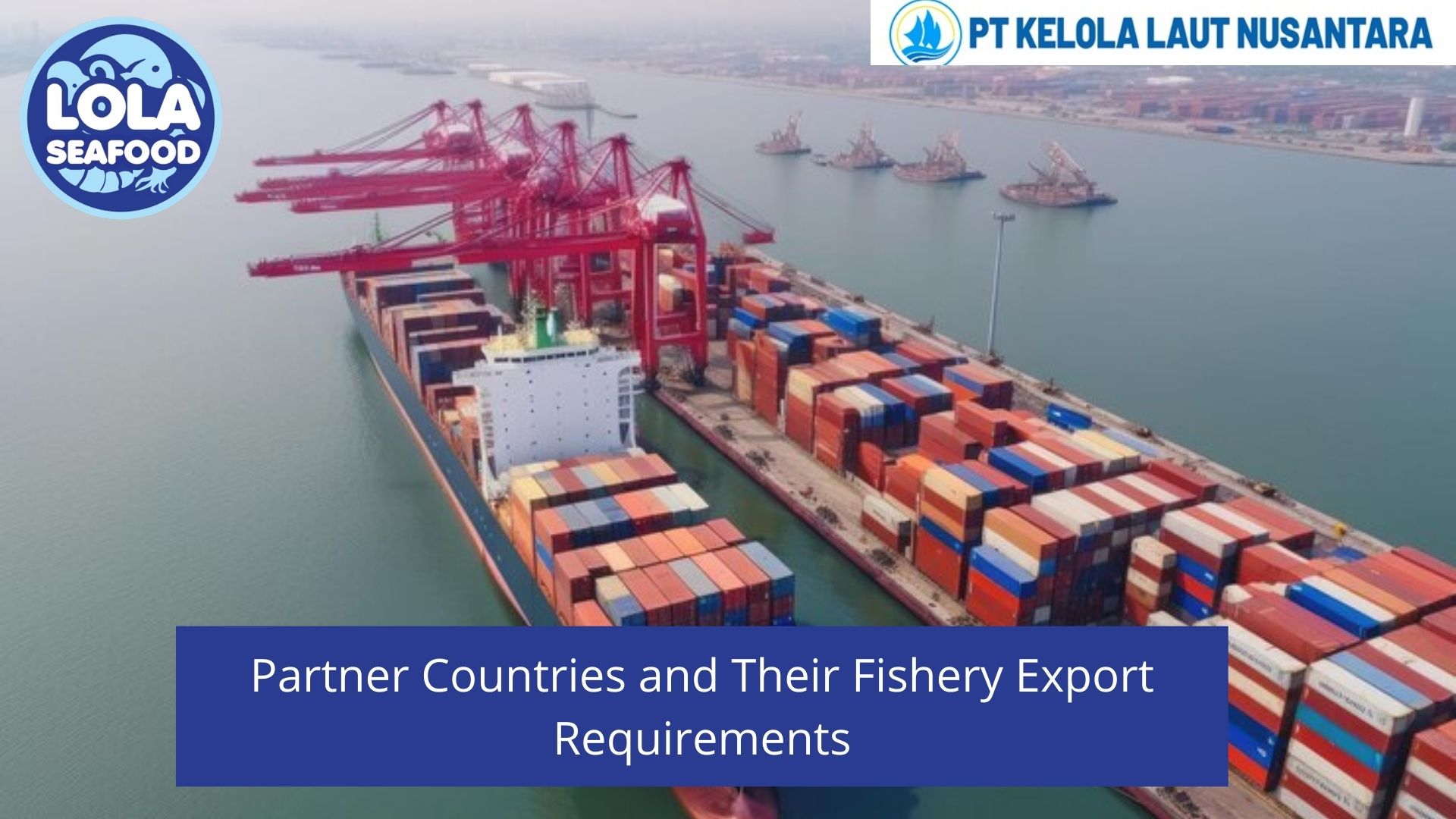 Partner Countries and Their Fishery Export Requirements