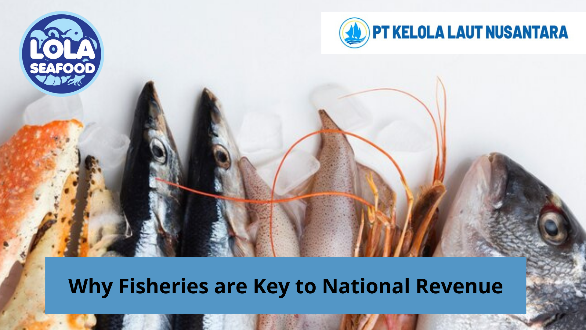 Why Fishery Products are Key to National Revenue