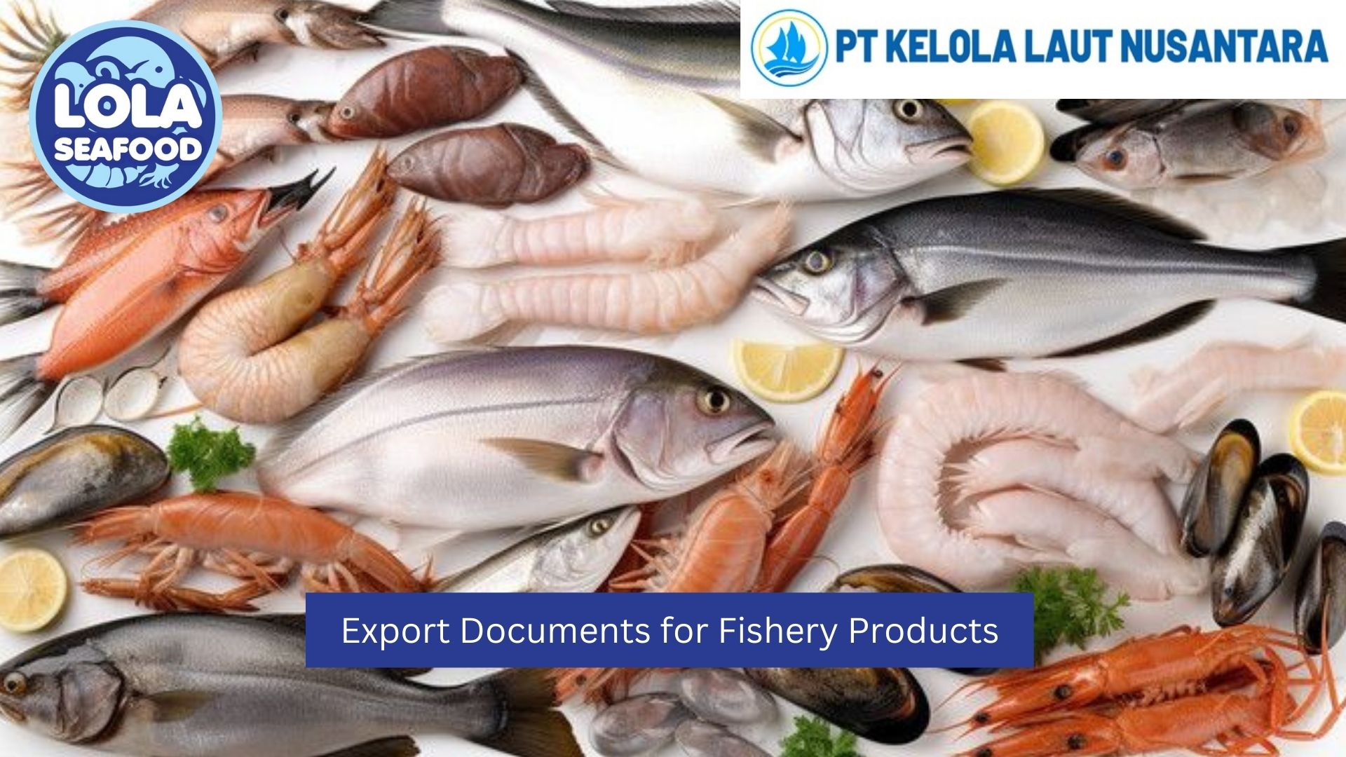 Export Documents for Fishery Products