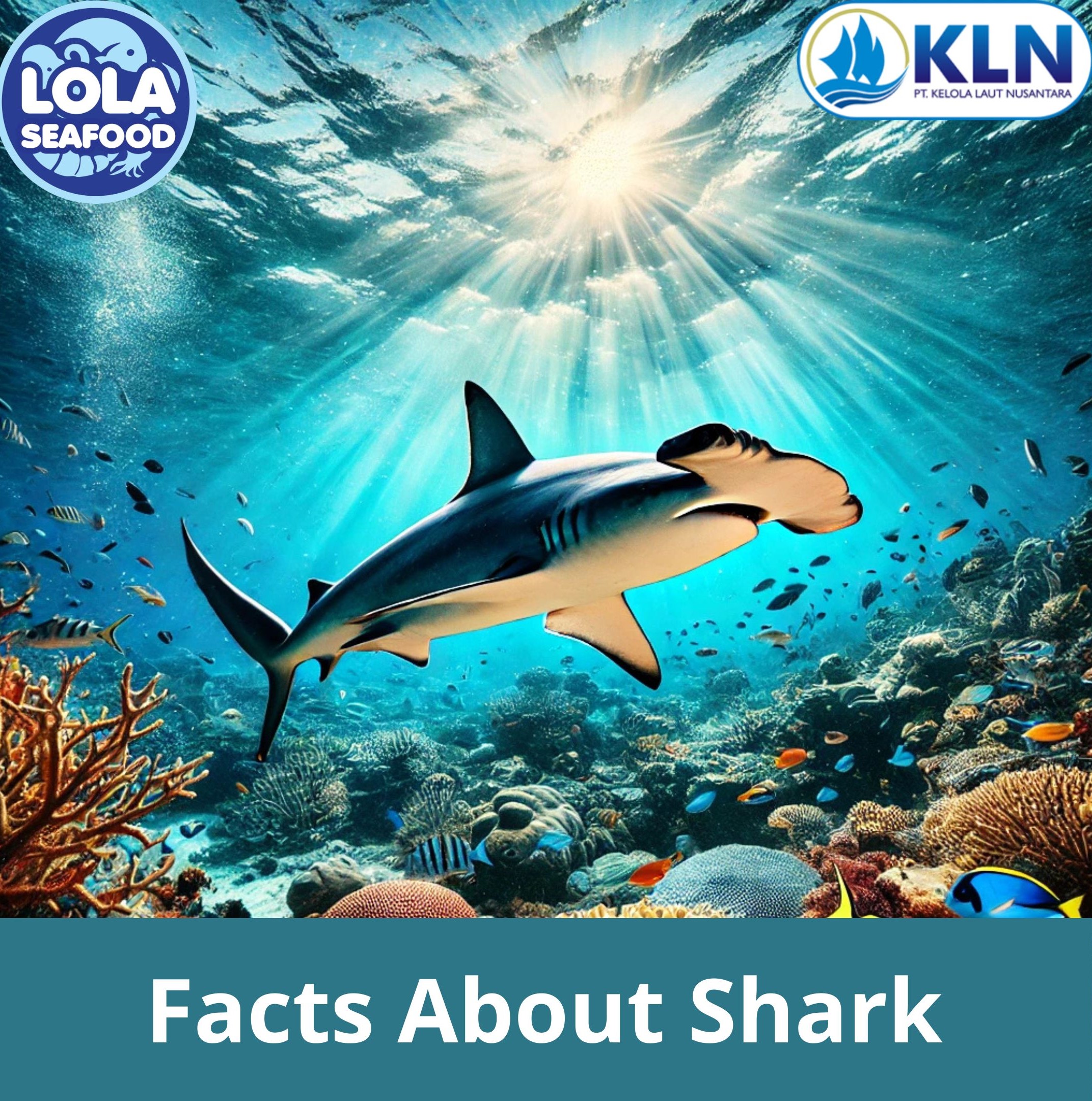 Here Are the Fascinating Facts About Sharks