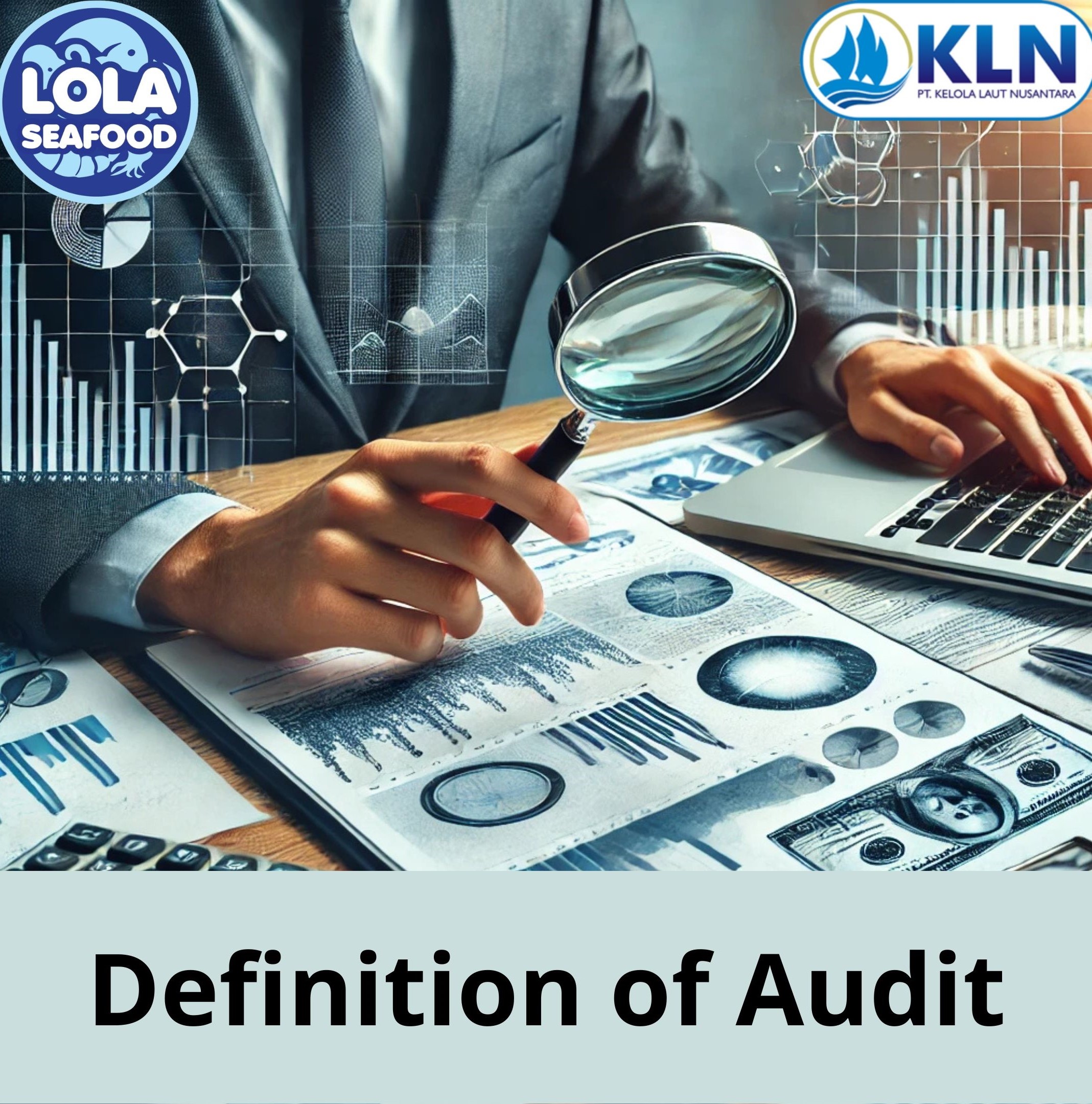 This Is What Understanding The Audit