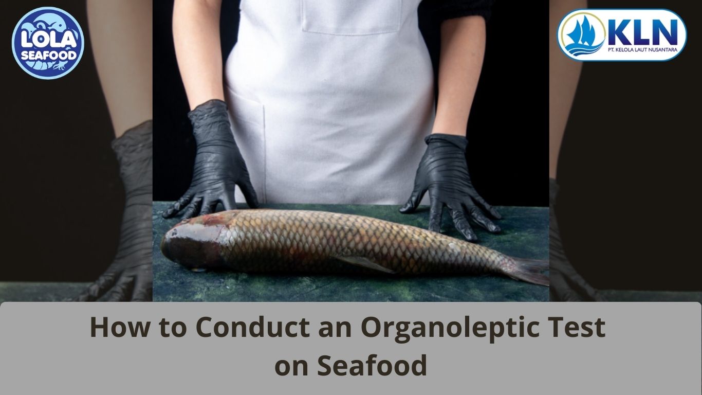 How to Conduct an Organoleptic Test on Seafood
