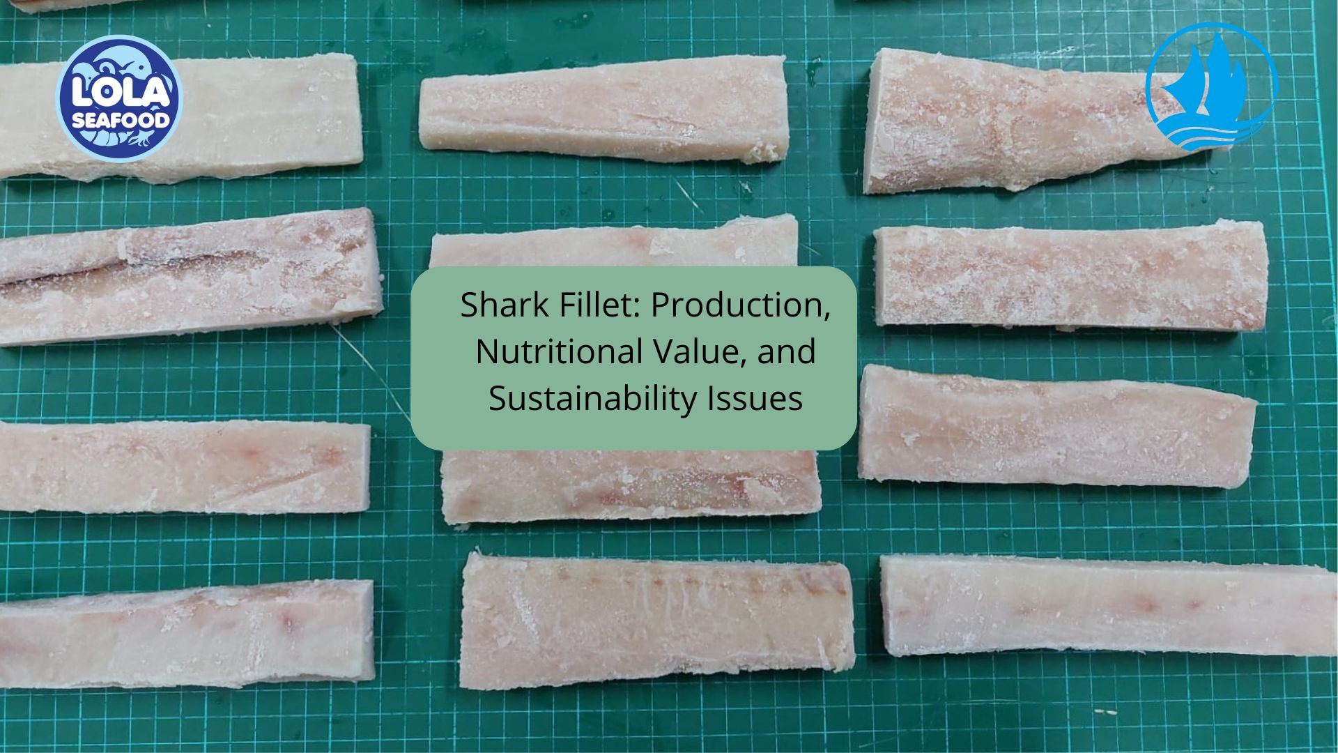 Shark Fillet: Production, Nutritional Value, and Sustainability Issues