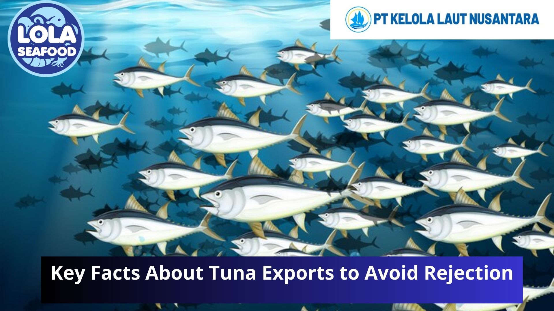 Key Facts About Tuna Exports to Avoid Rejection