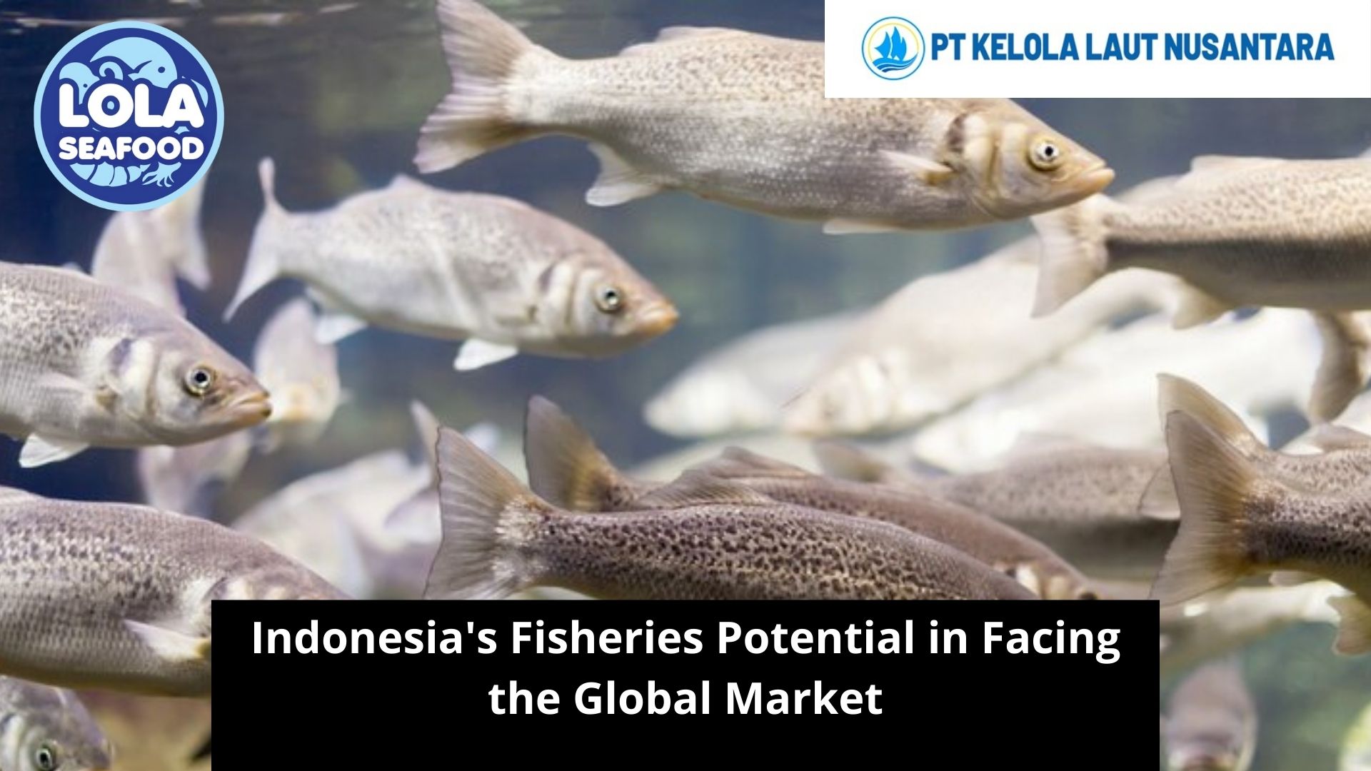 Indonesia's Fisheries Potential in Facing the Global Market