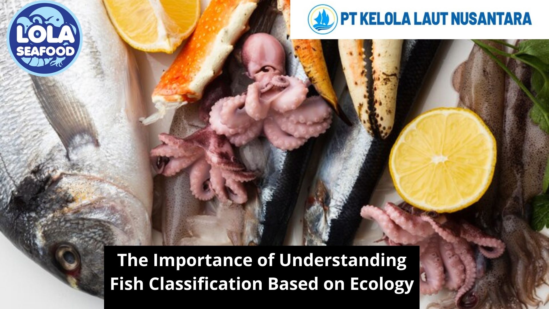 The Importance of Understanding Fish Classification Based on Ecology