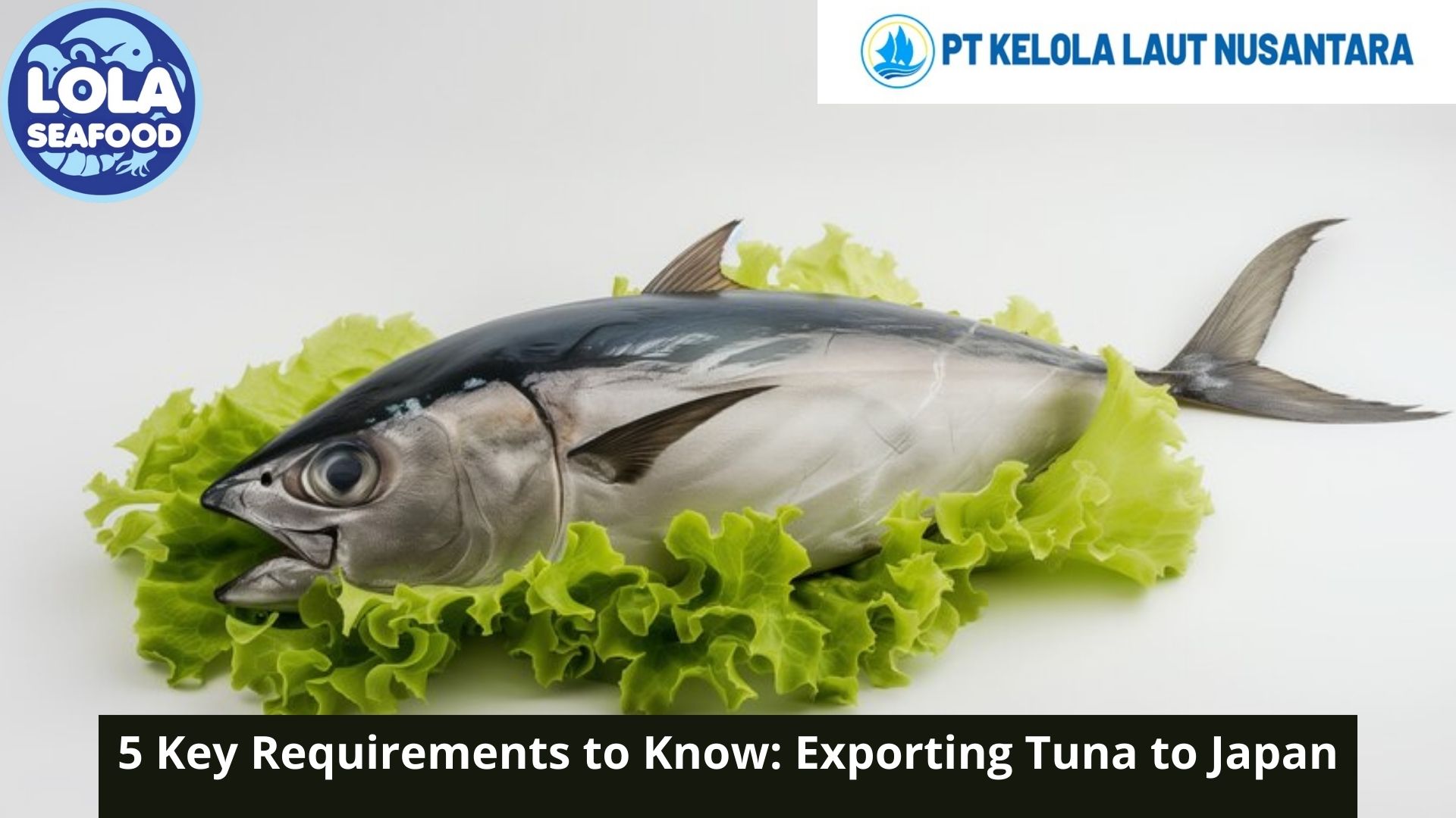 5 Key Requirements to Know: Exporting Tuna to Japan