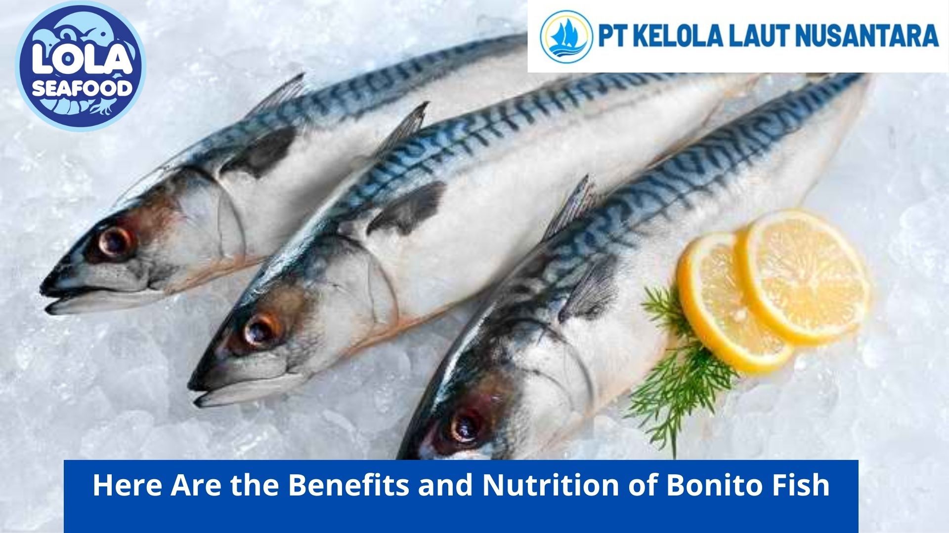 Here Are the Benefits and Nutrition of Bonito Fish