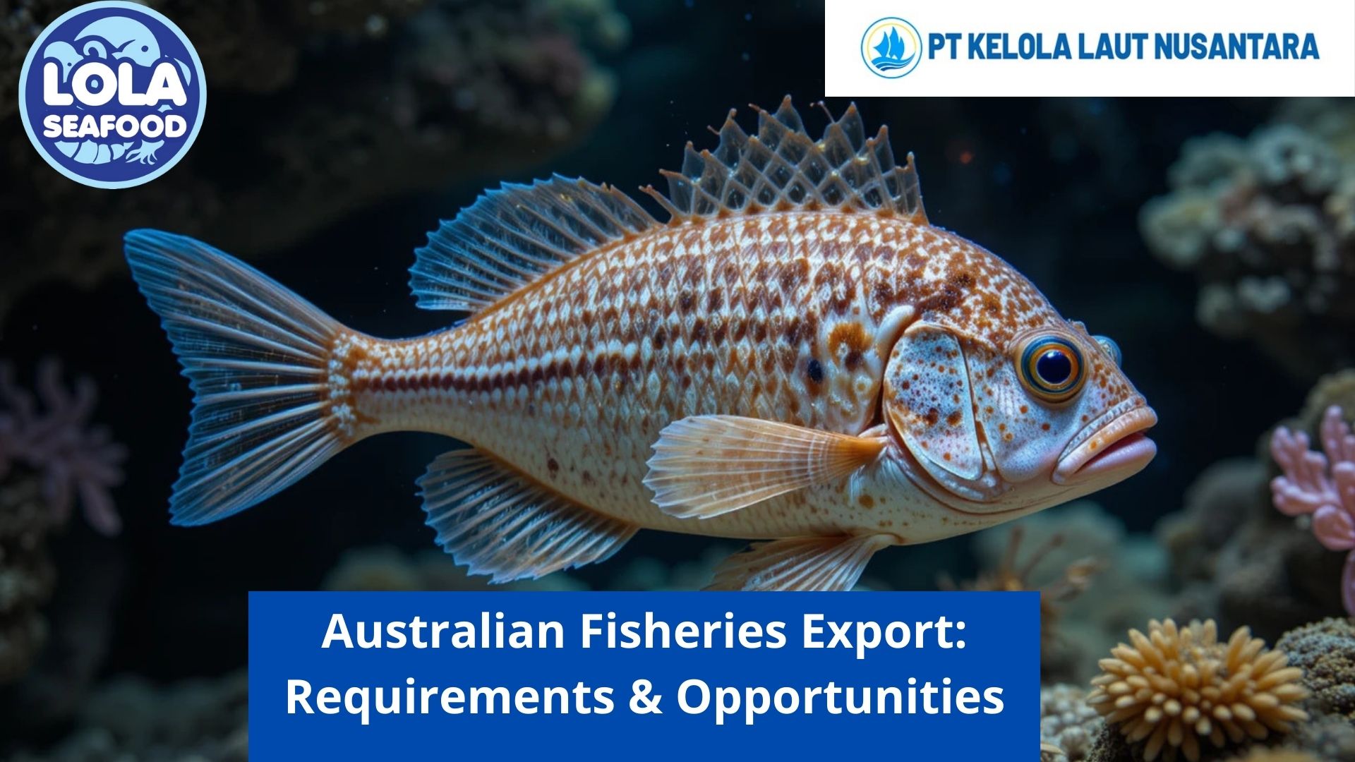 Australian Fisheries Export: Requirements & Opportunities