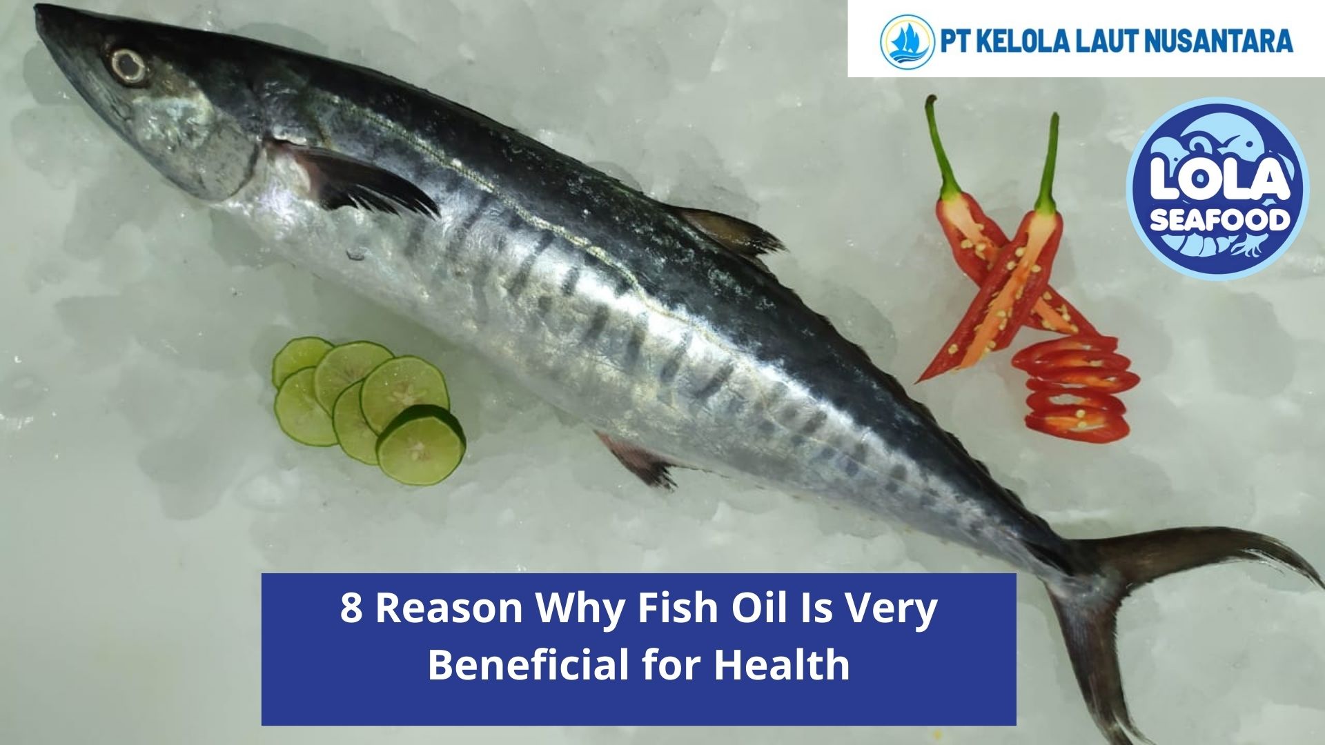 8 Reason Why Fish Oil Is Very Beneficial for Health