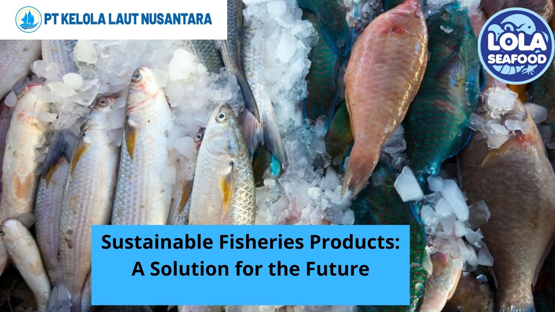 Sustainable Fisheries Products: A Solution for the Future