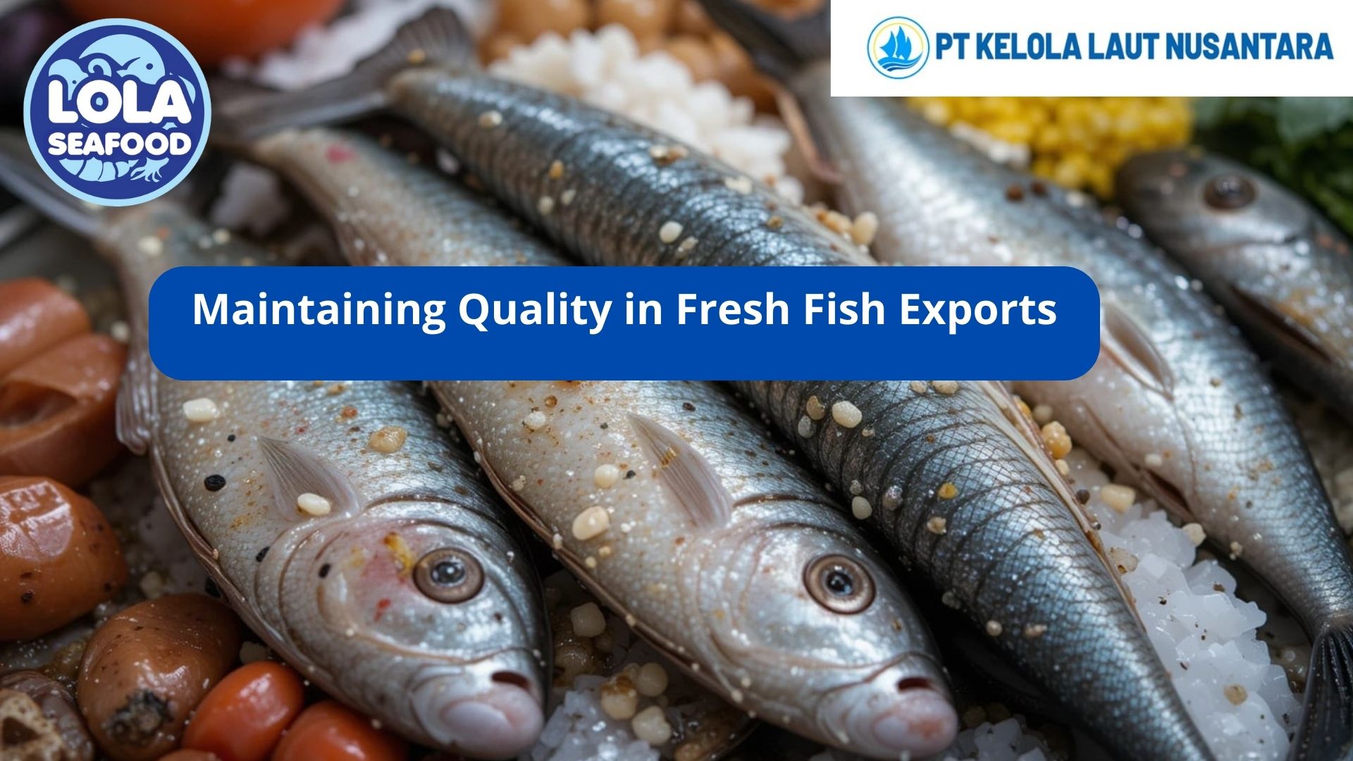 Maintaining Quality in Fresh Fish Exports