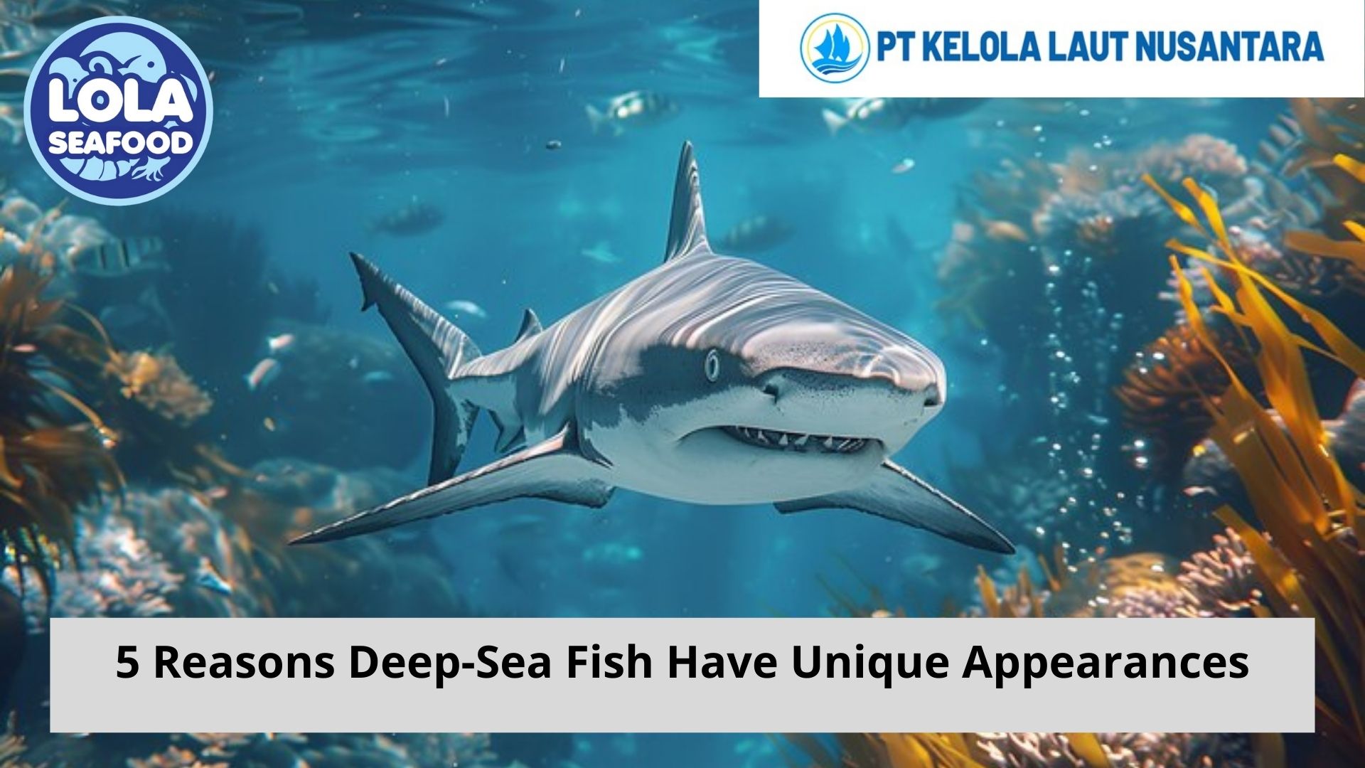 5 Reasons Deep-Sea Fish Have Unique Appearances