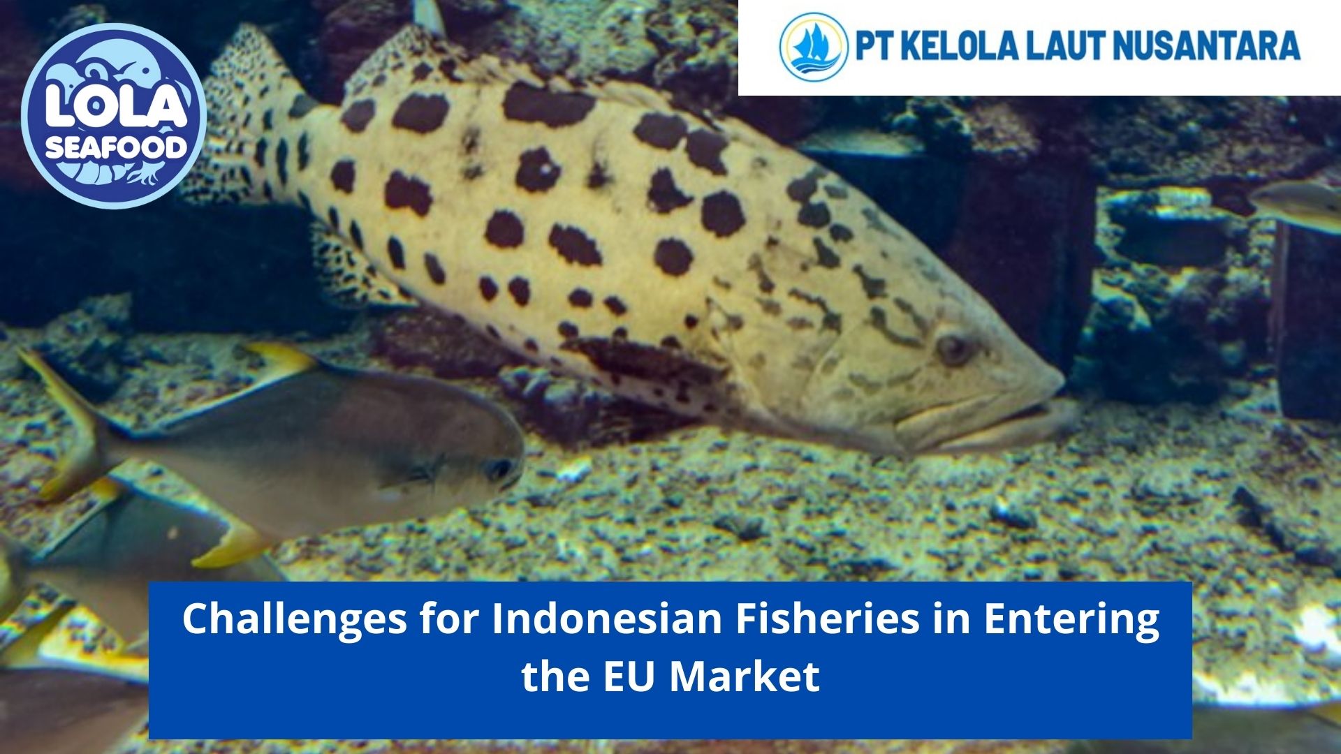 Challenges for Indonesian Fisheries in Entering the EU Market