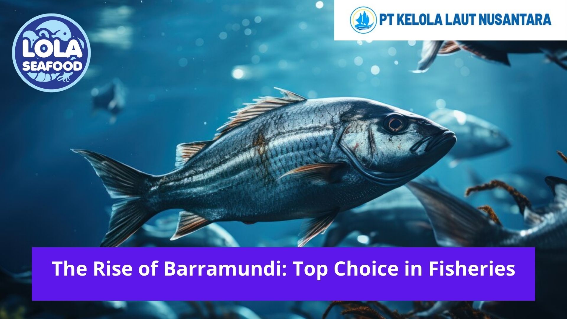 The Rise of Barramundi: Top Choice in Fisheries