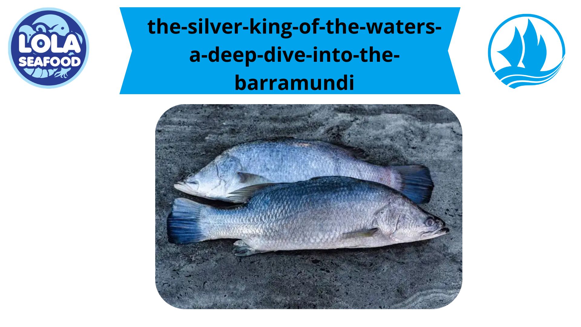 The Silver King of the Waters: A Deep Dive into the Barramundi