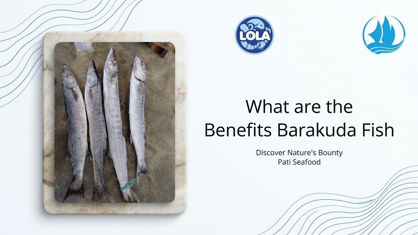 What are the Benefits Barakuda Fish